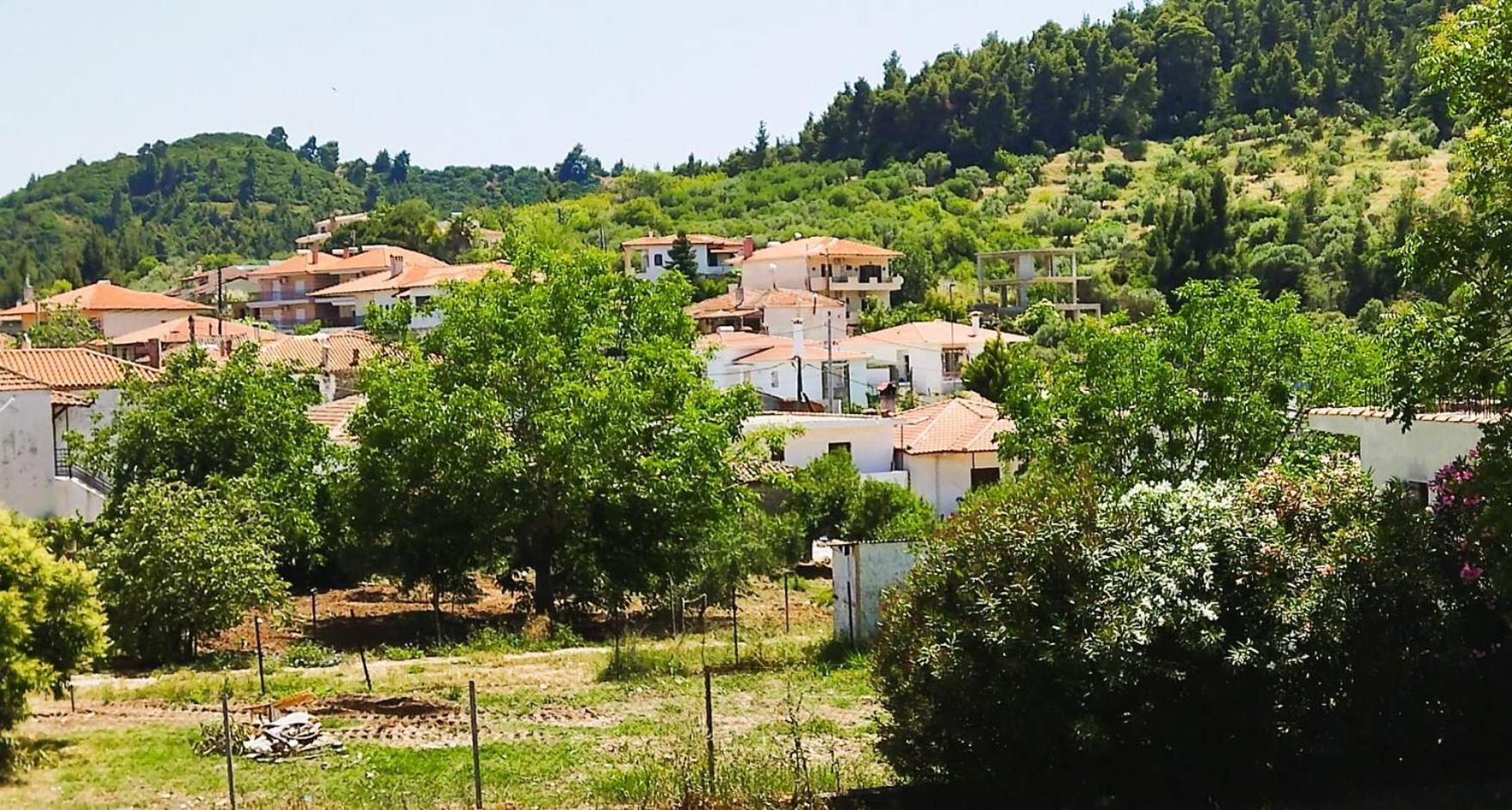 Oasis House Διαμέρισμα *